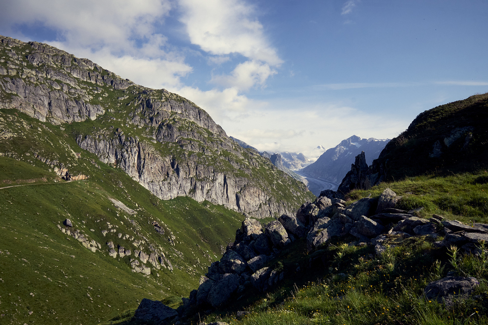 Blick auf den Aletschgletscher