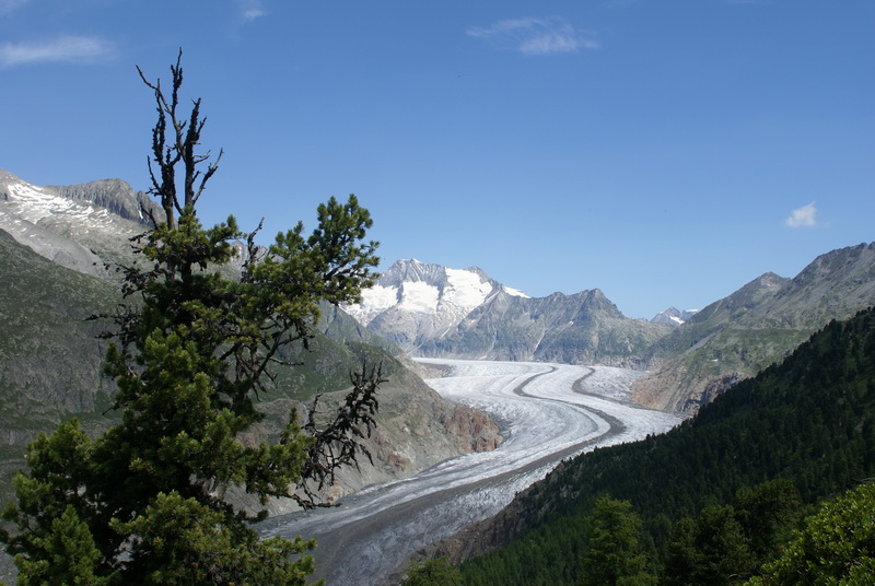 Blick auf den Aletschgletscher