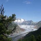 Blick auf den Aletschgletscher