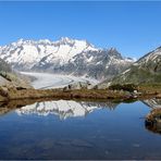 Blick auf den Aletschgletscher .....