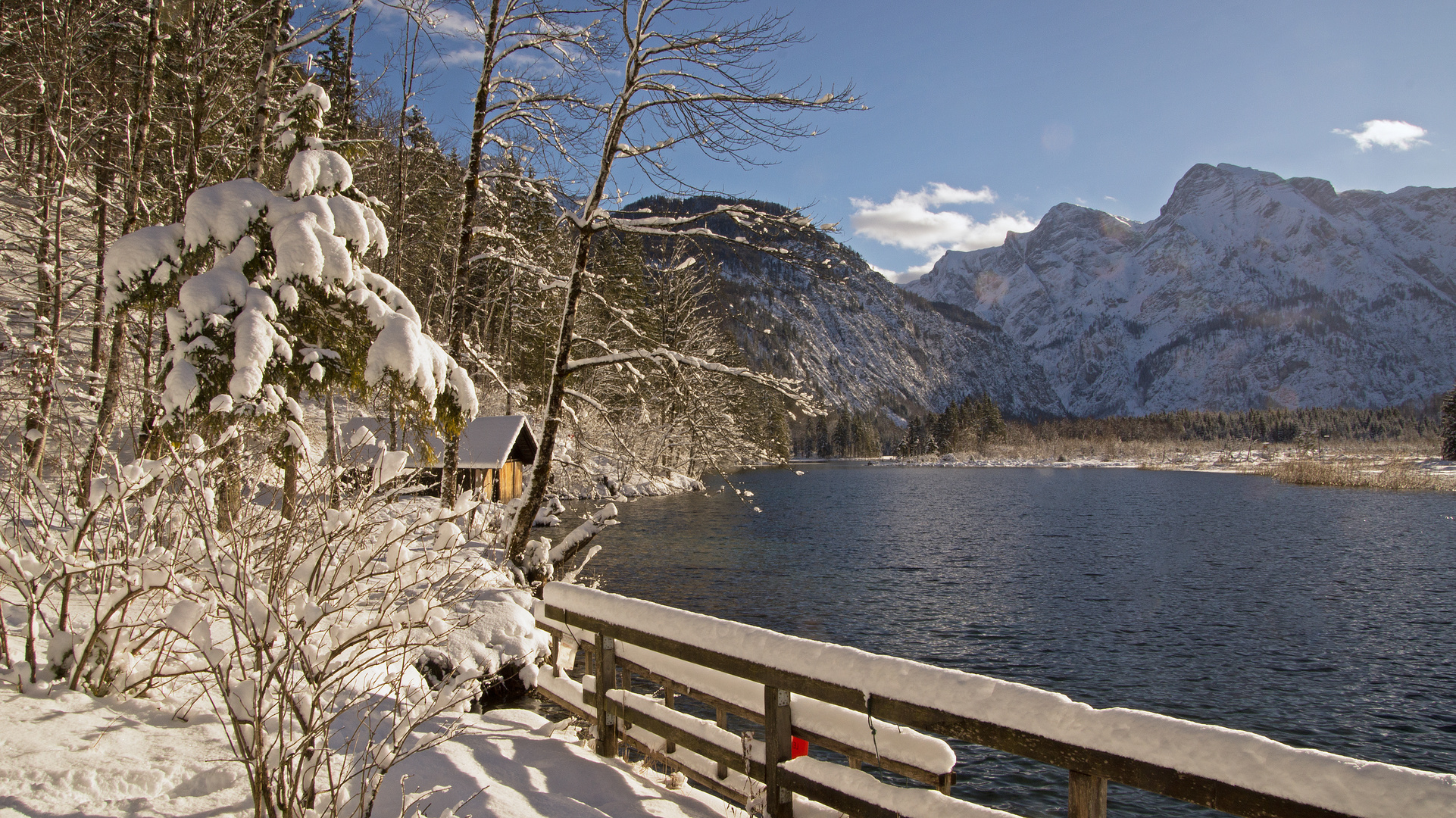 Blick auf den Almsee