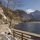 Blick auf den Almsee