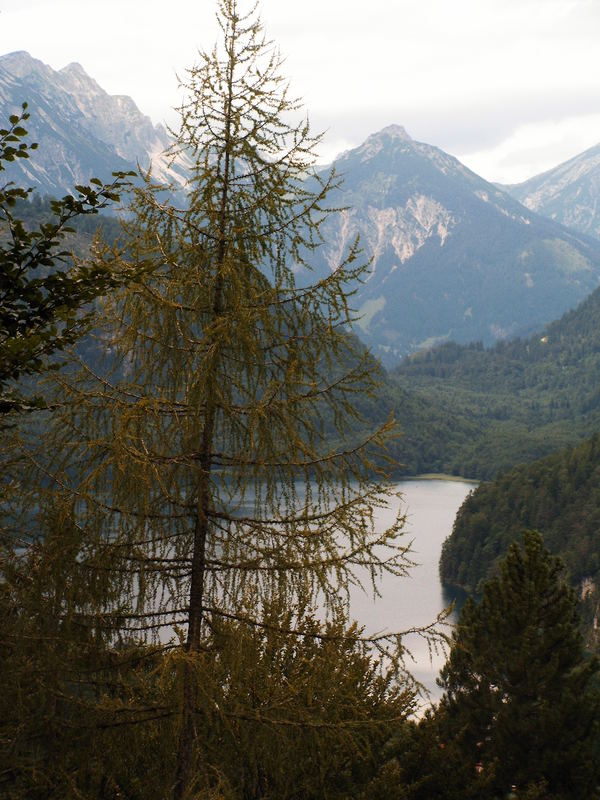 Blick auf den Alp-See