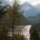 Blick auf den Alp-See