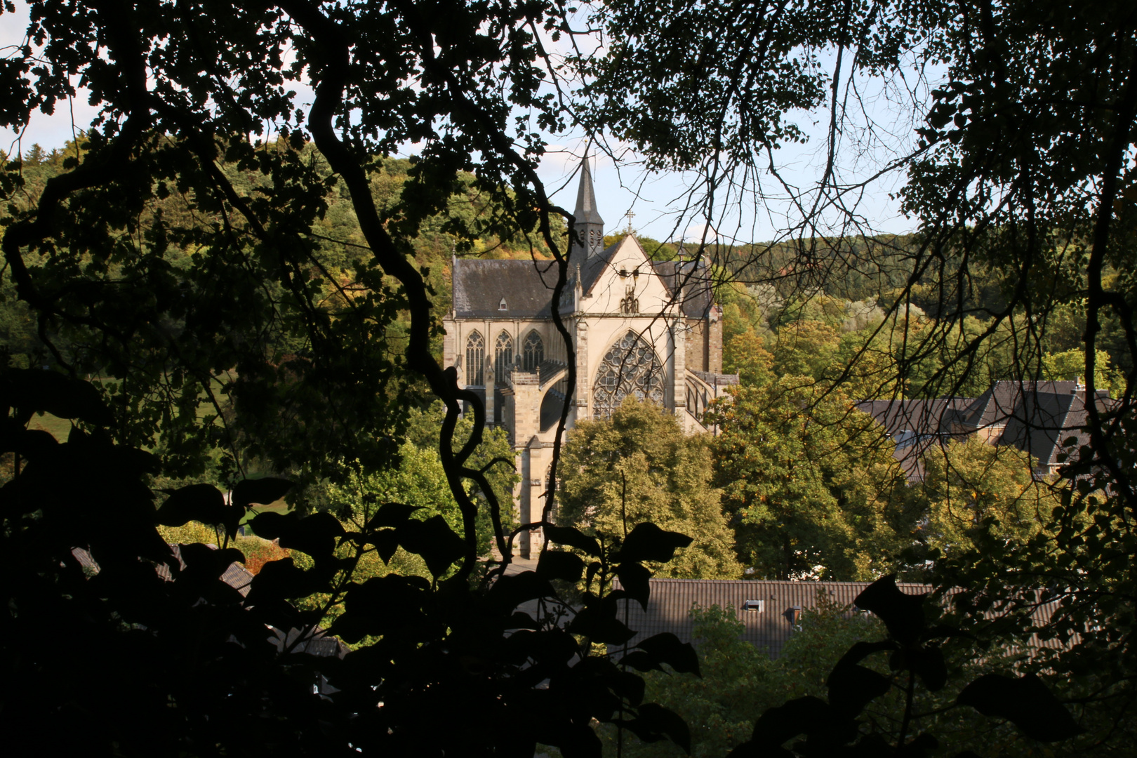 Blick auf den Altenberger Dom (2)