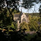 Blick auf den Altenberger Dom (2)