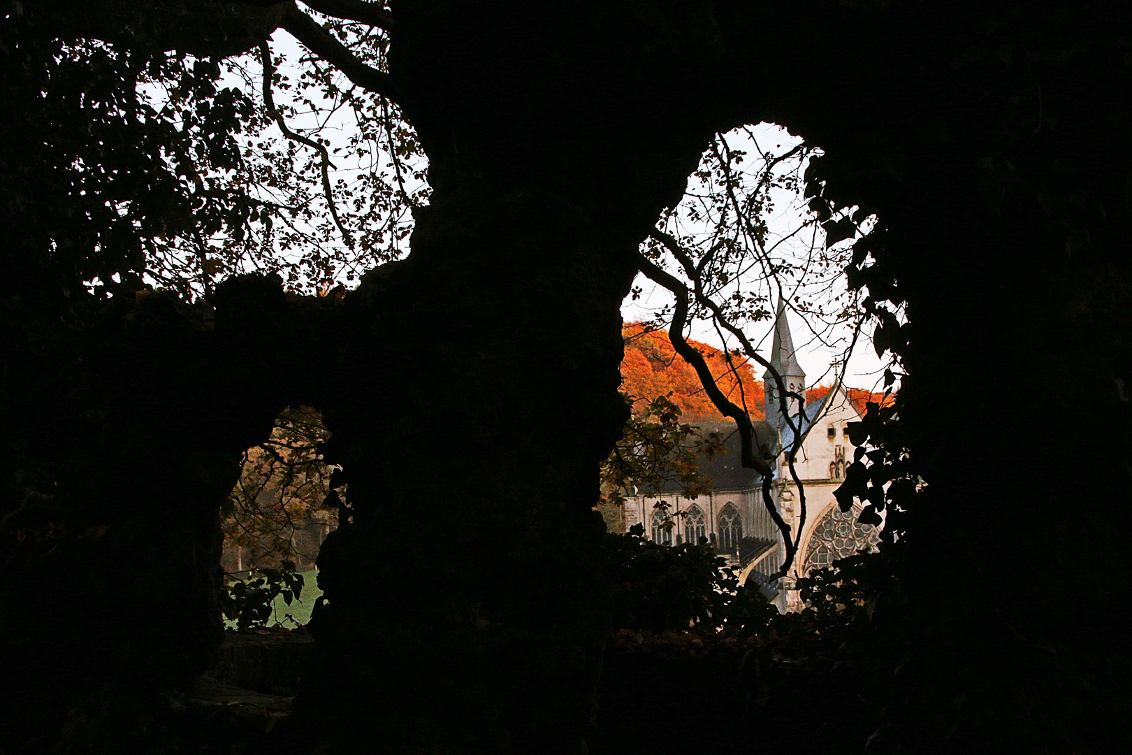 Blick auf den Altenberger Dom