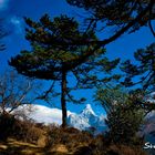 Blick auf den Ama Dablam