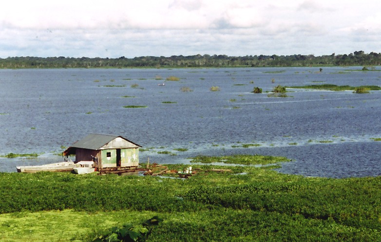 Blick auf den Amazonas (Iquitos, Peru)