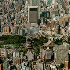 Blick auf den Asakusa Kannon Tempel