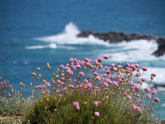 Blick auf den Atlantik
