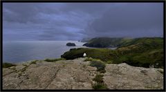 Blick auf den Atlantik vom Castle / Tintagel / Cornwall