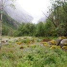 Blick auf den Ausläufer des Briksdals Gletschers