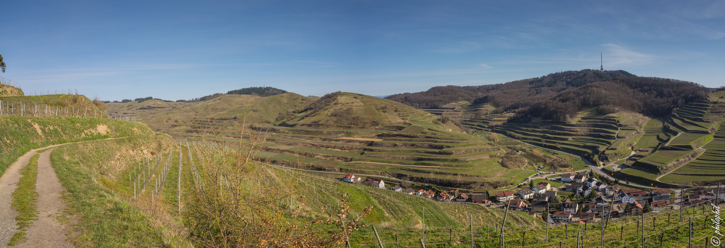 Blick auf den Badberg