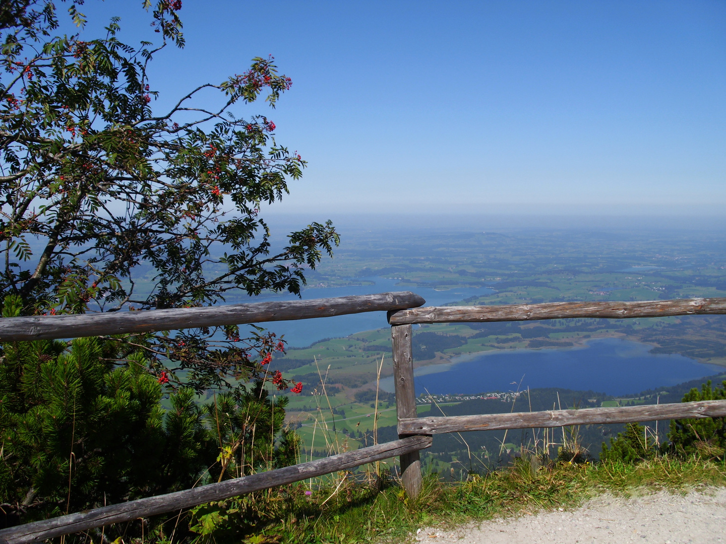 Blick auf den Bannwald- und Forggensee vom Tegelberg