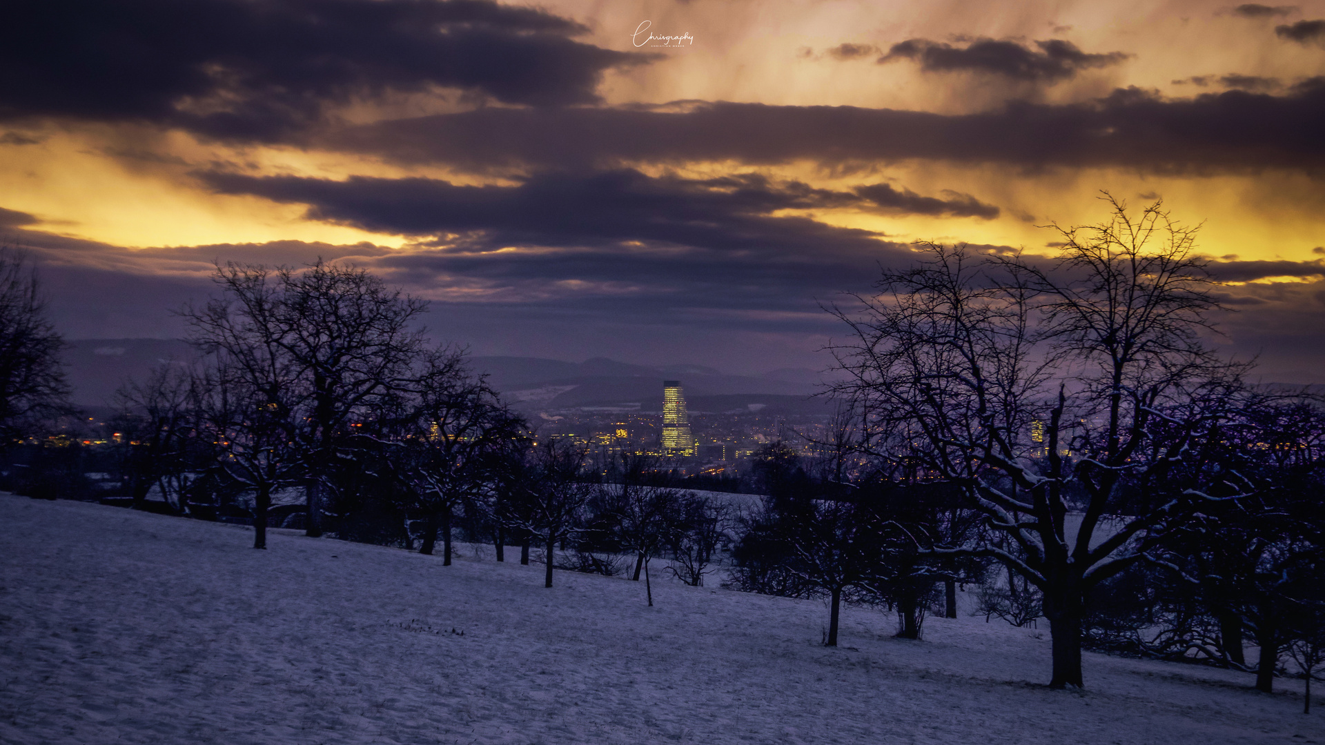 Blick auf den Basler Roche Tower