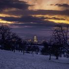 Blick auf den Basler Roche Tower