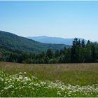 Blick auf den Bayerischen Wald...