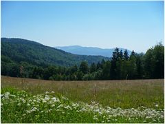 Blick auf den Bayerischen Wald...