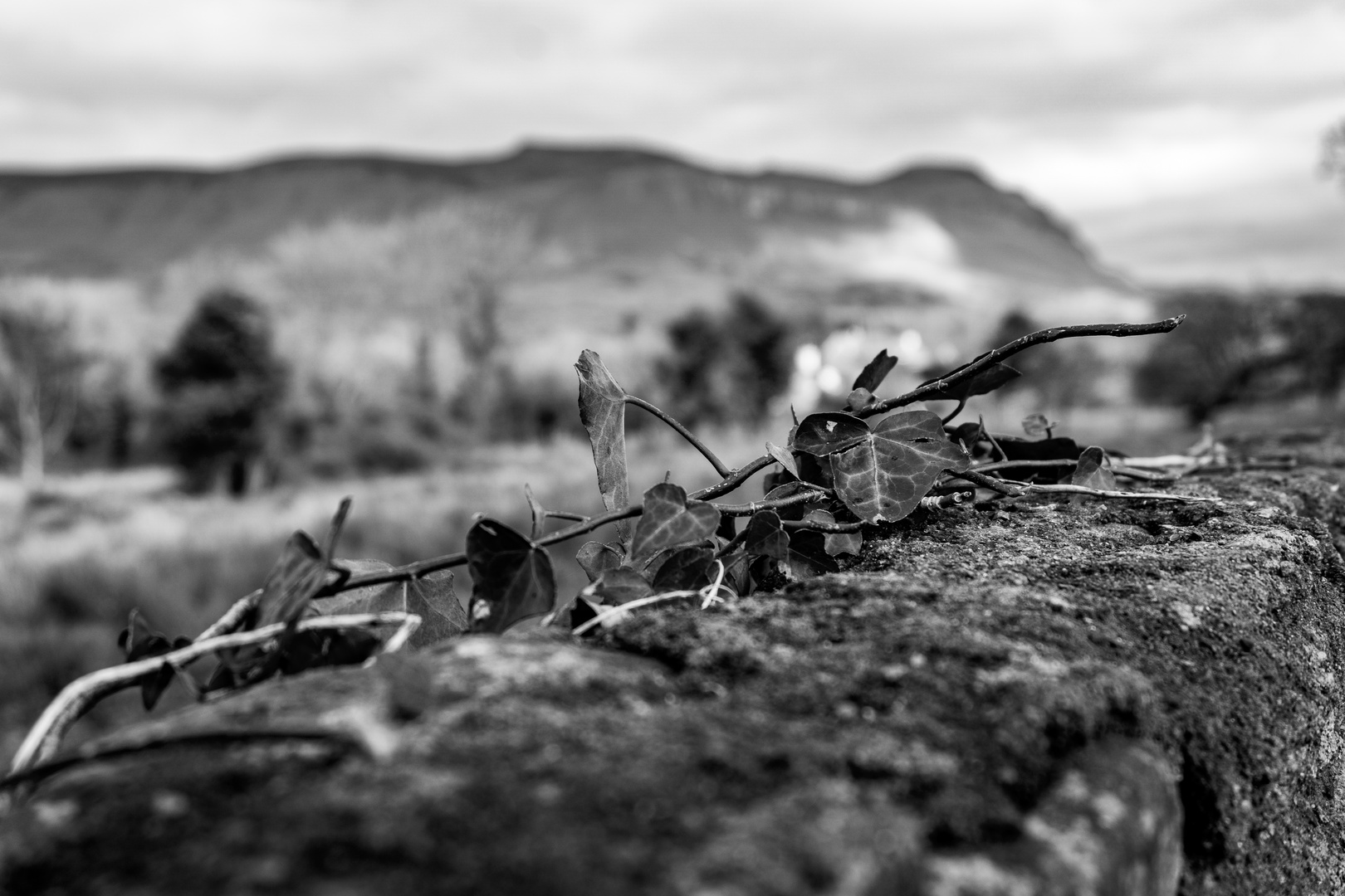 Blick auf den Ben Bulben