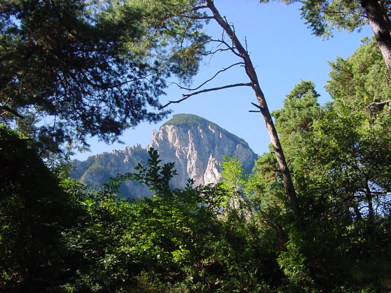 Blick auf den Berg