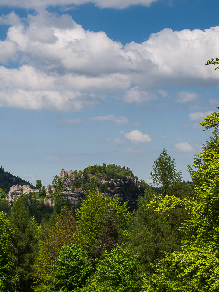 Blick auf den Berg Oybin