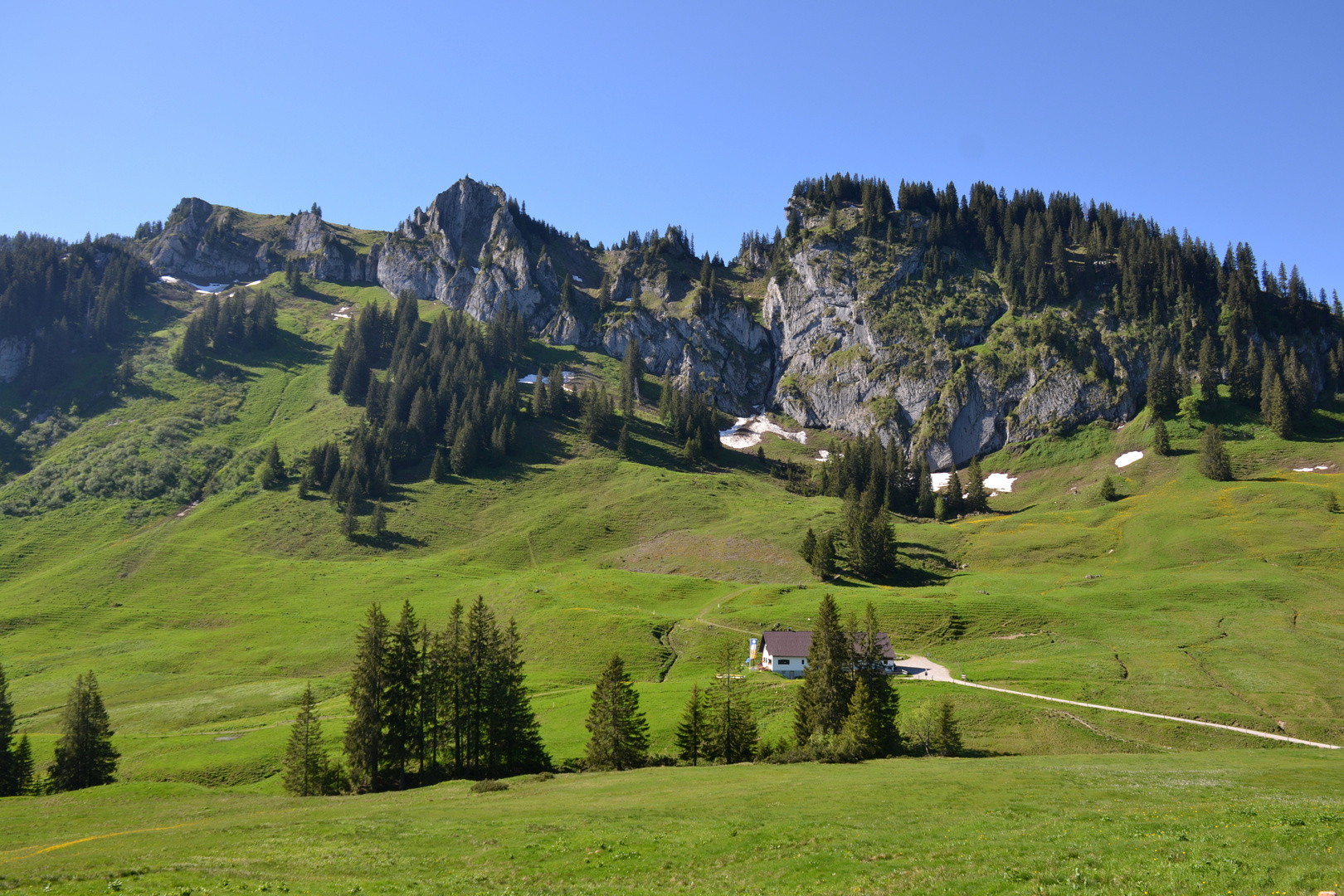 Blick auf den Besler