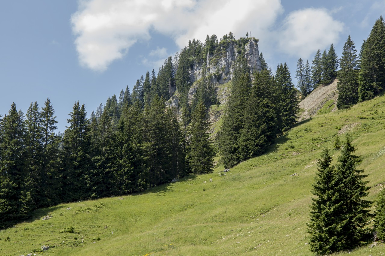 Blick auf den Besler...