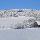 Blick auf den Bieleboh in Beiersdorf