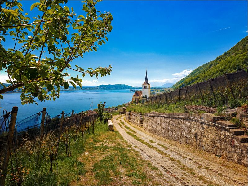 Blick auf den Bieler See