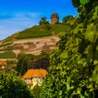 Blick auf den Bismarckturm in Radebeul