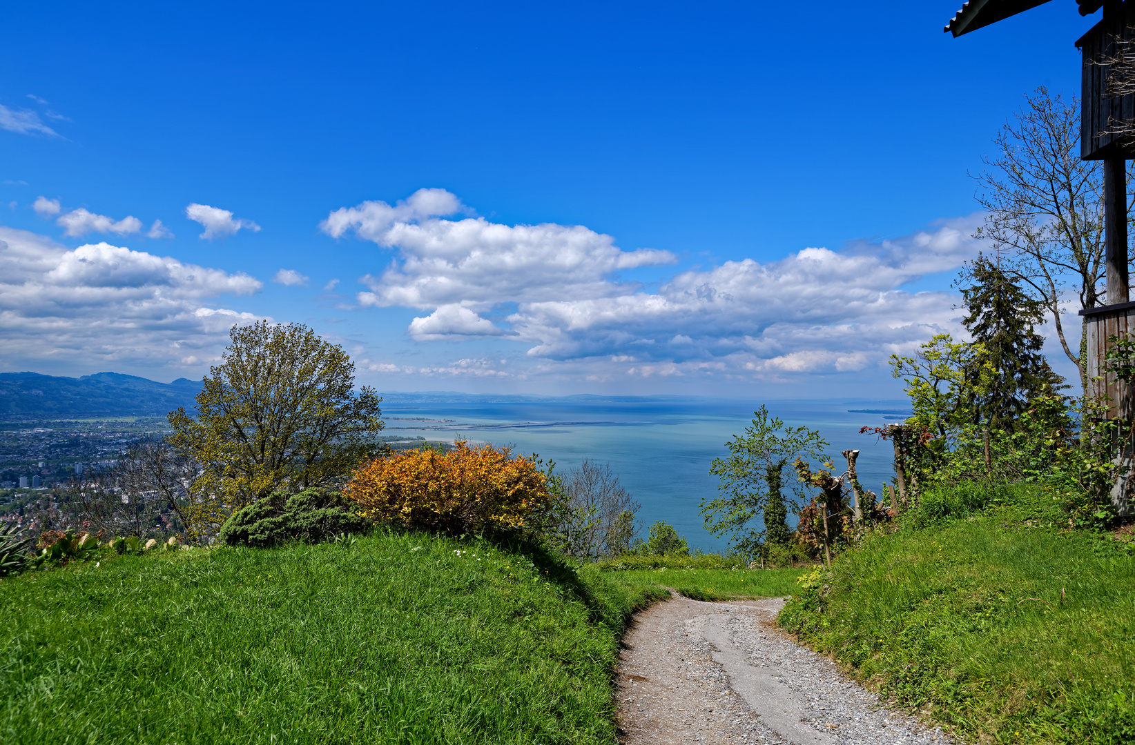 Blick auf den Bodensee