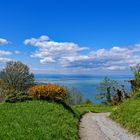 Blick auf den Bodensee