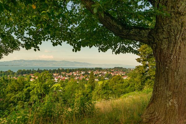 Blick auf den Bodensee