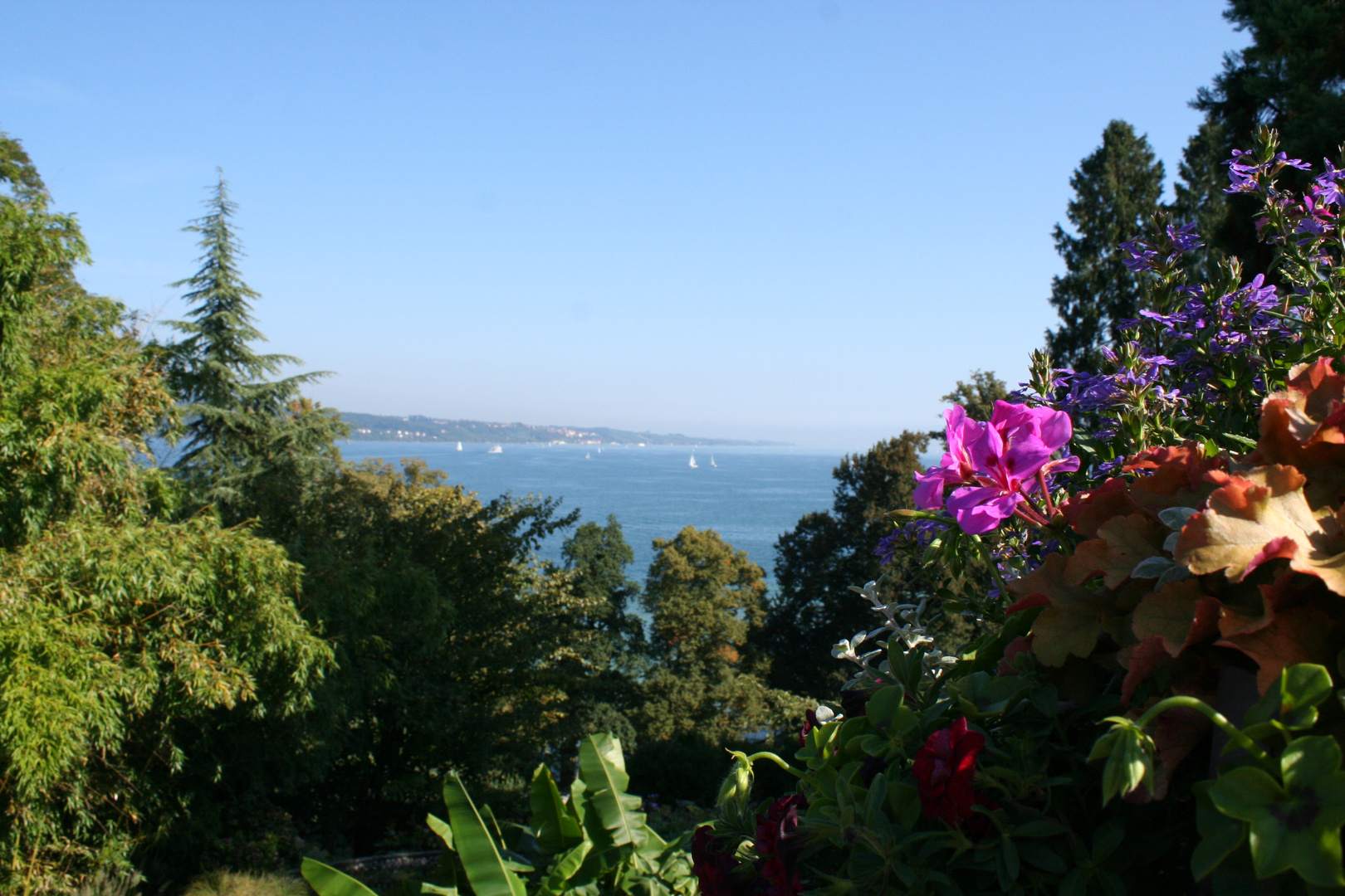 Blick auf den Bodensee