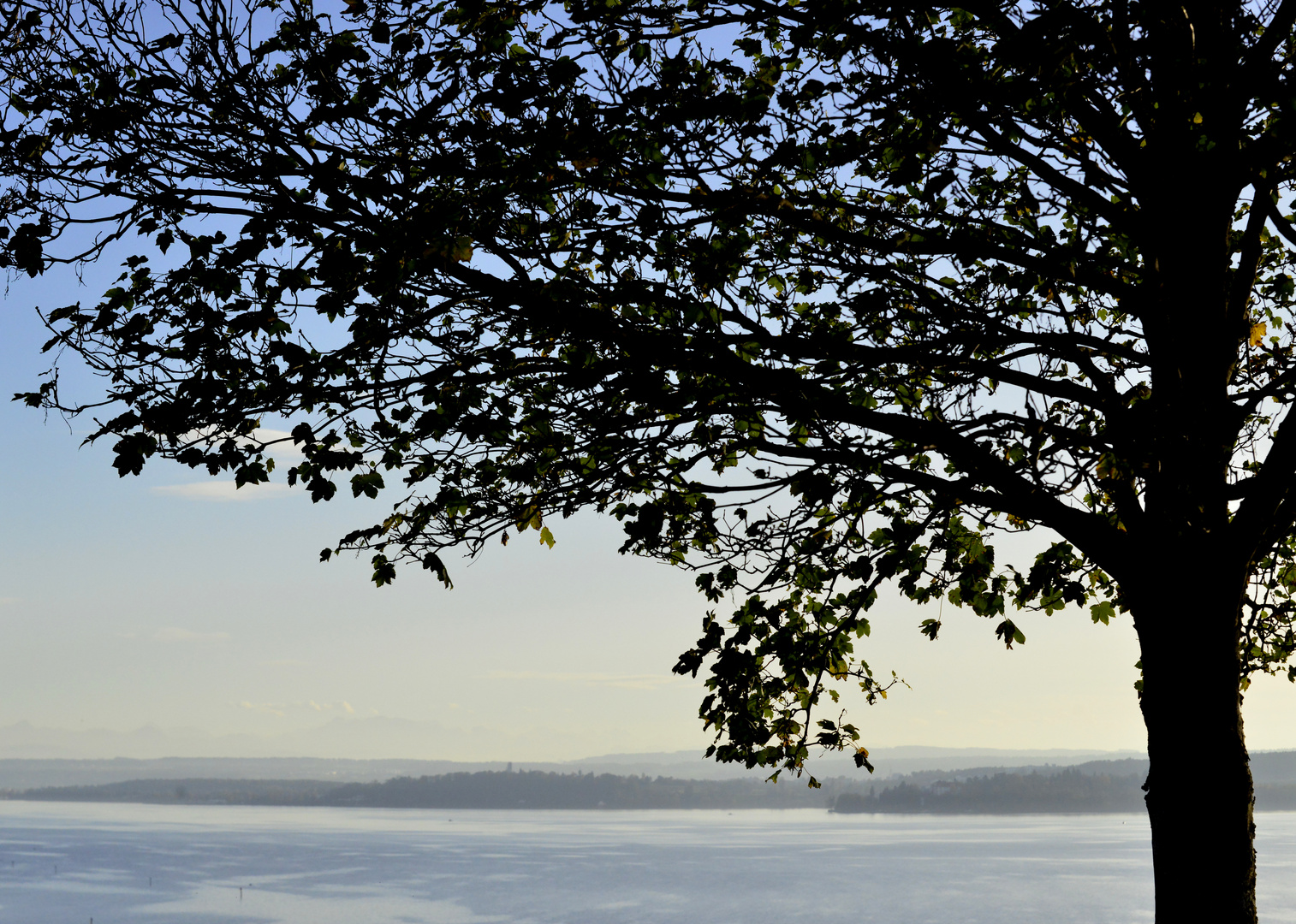 Blick auf den Bodensee