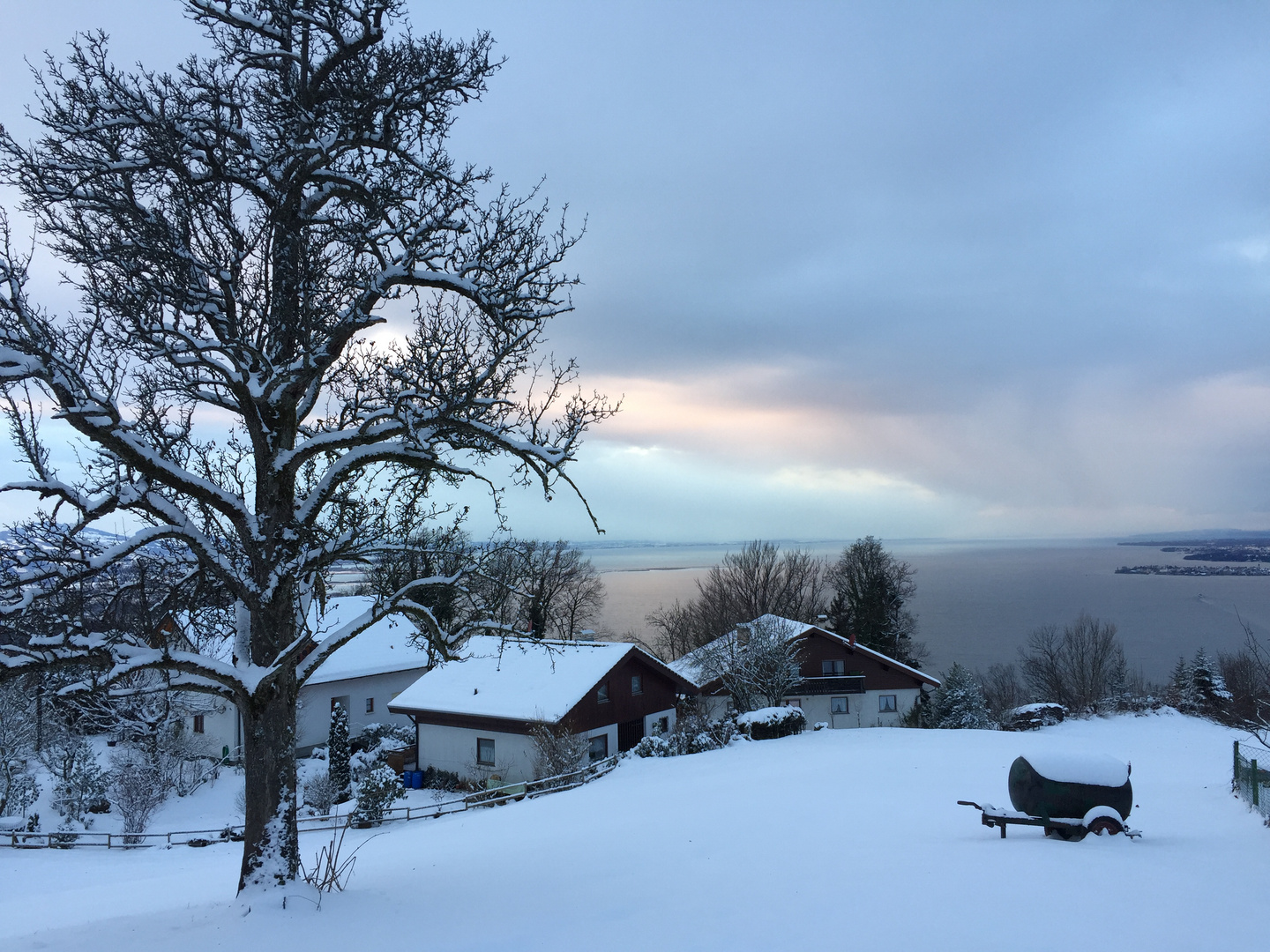 Blick auf den Bodensee ...