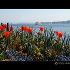 Blick auf den Bodensee