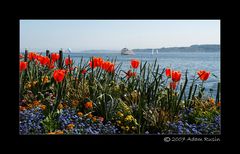 Blick auf den Bodensee