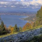 Blick auf den Bodensee