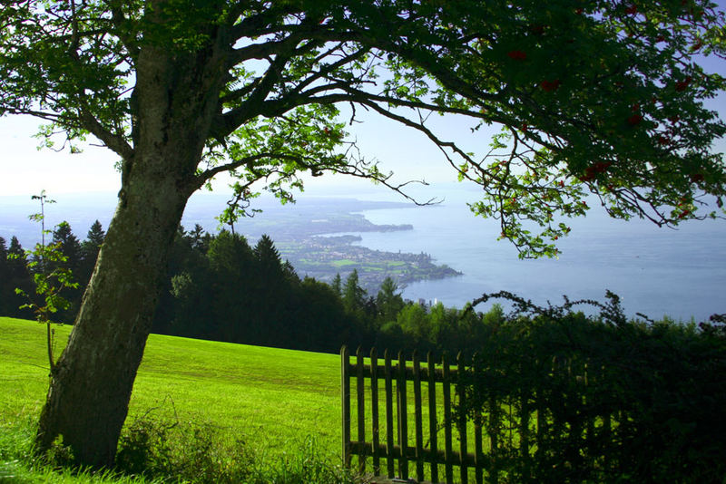 Blick auf den Bodensee