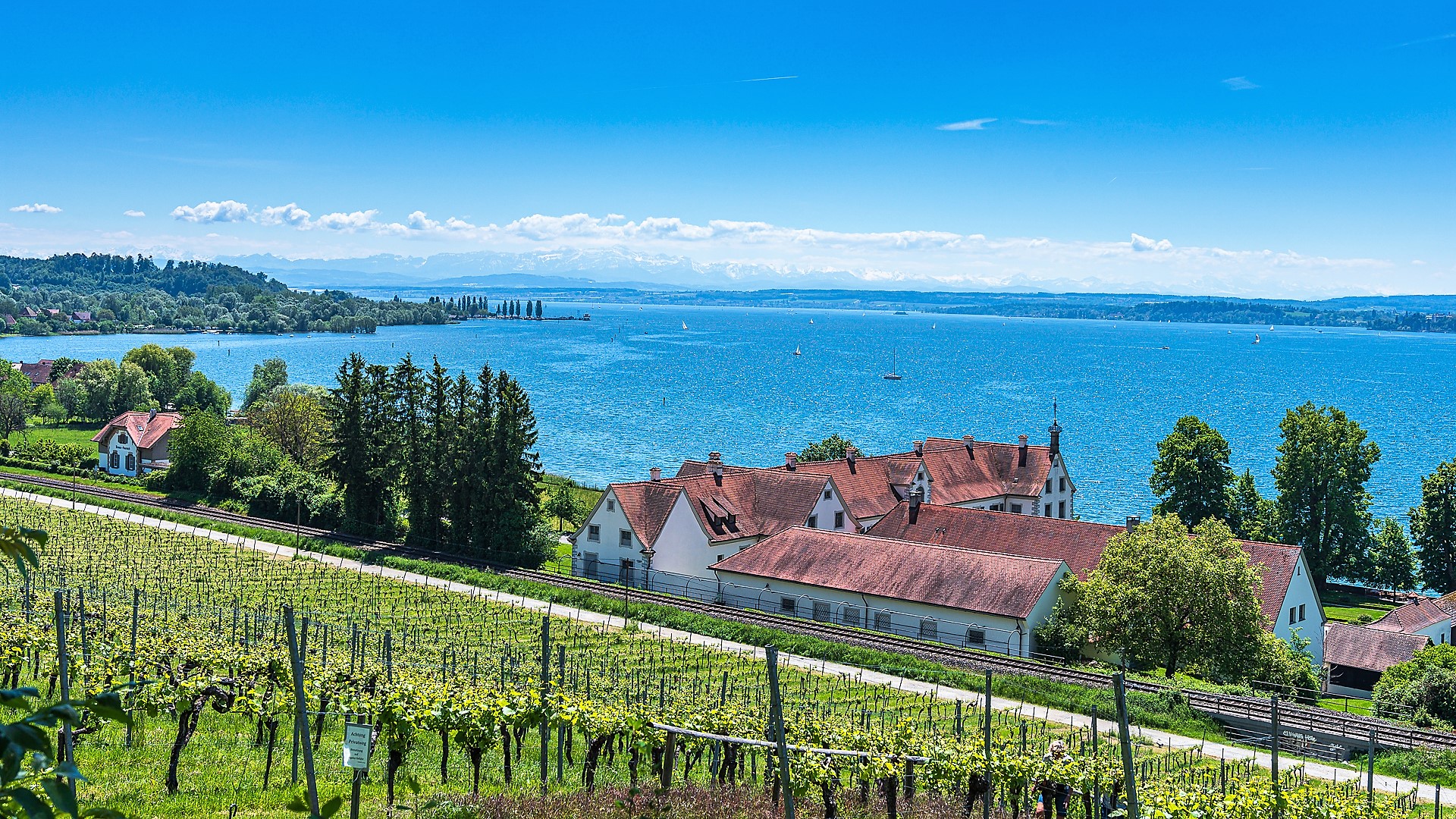 Blick auf den Bodensee