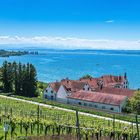 Blick auf den Bodensee