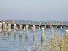 Blick auf den Bodstedter Bodden