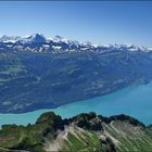 Blick auf den Brienzer See