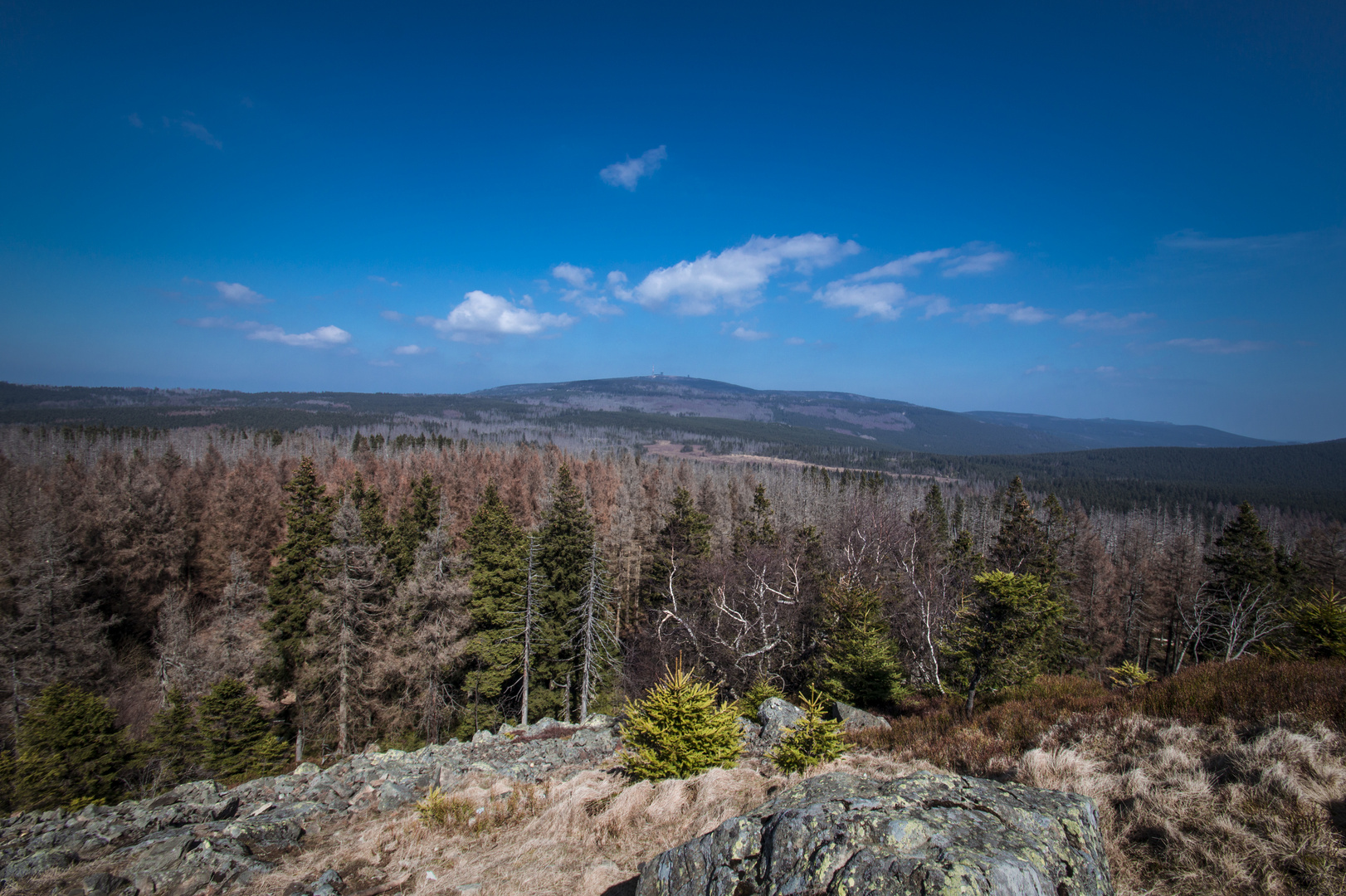 Blick auf den Brocken