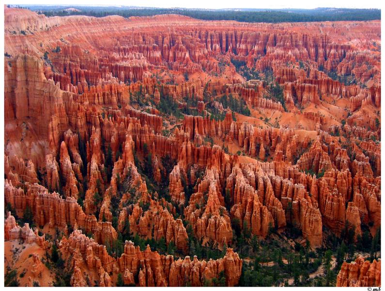 Blick auf den Bryce Canyon