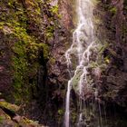 Blick auf den Burgbach Wasserfall