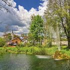 Blick auf den Burgteich