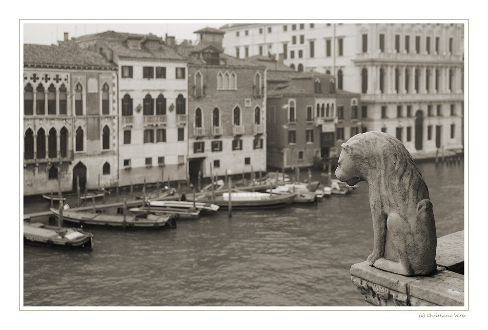 Blick auf den Canale Grande